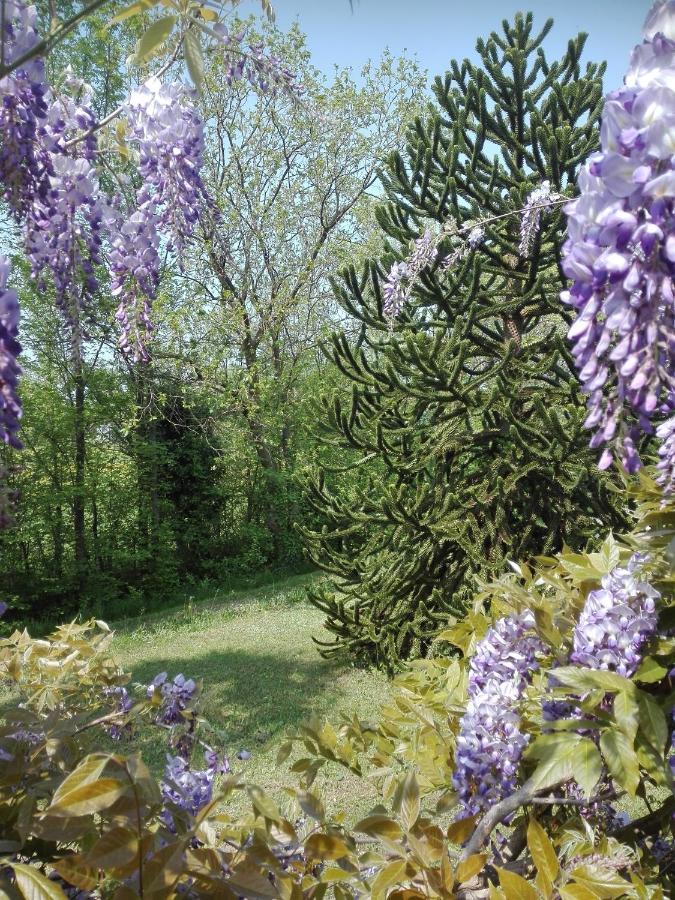 Bed and Breakfast La Vie En Rose Buia Екстер'єр фото